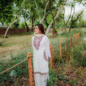 women embroidered 2 piece suit